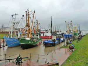 Hafen in Ditzum